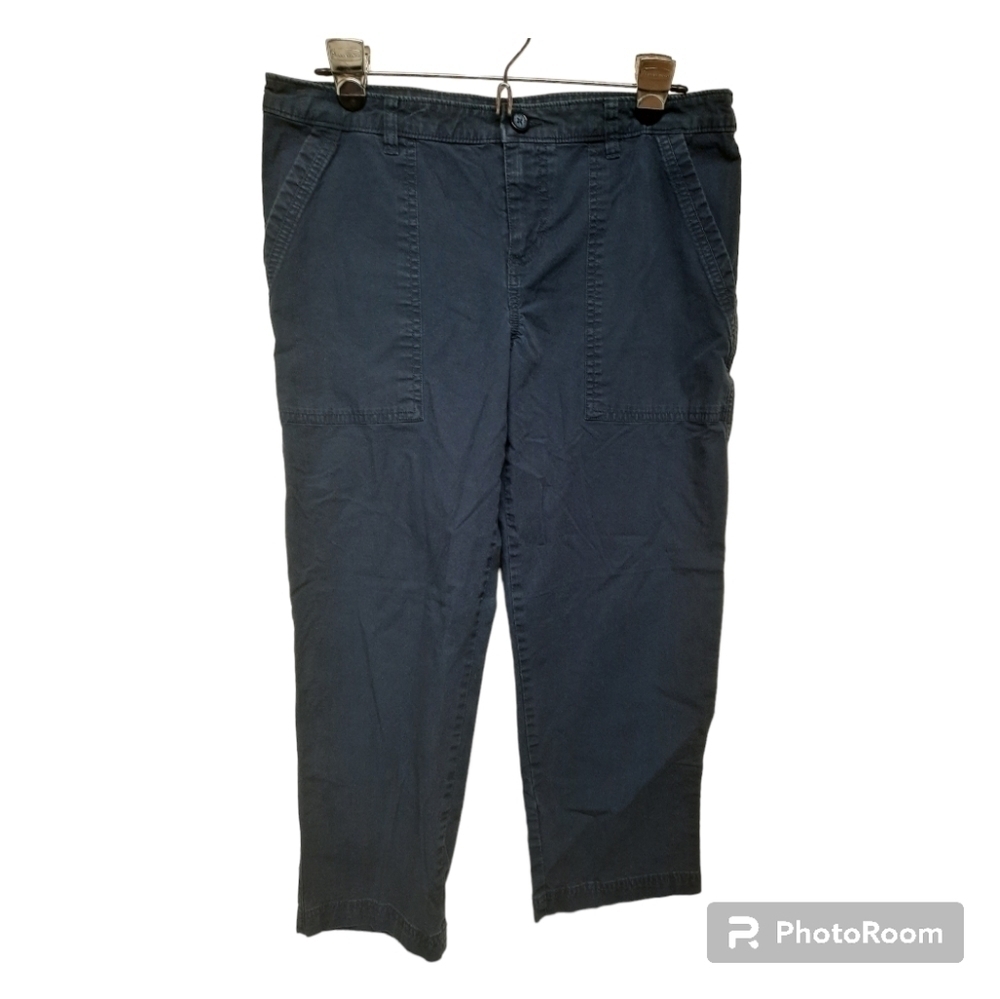 PATAGONIA (Size 8) Blue Stretch All-Wear Capri Pants
